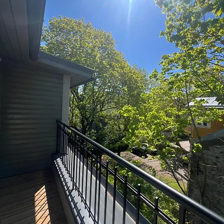 Modern Flat In A Courtyard